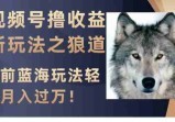 视频号撸收益新玩法之狼道，目前蓝海玩法，轻松月入过万