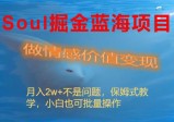 SOUL掘金蓝海项目细分赛道，做情感价值变现，月入2W+不是问题，保姆式教学，小白也可批量操作