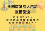 全网独创真人主播+无人直播单日引流500+，成人用品暴力卖货单日变现3W+保姆级教学2.0