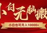 无脑搬运视频，全新平台独占玩法，一个账号每天1000+，多账号轻松扩张！