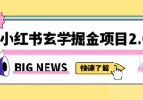 红书玄学掘金项目，值得常驻的蓝海项目，日入3000+附带引流方法以及渠道