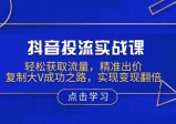 抖音投流实战课，轻松获取流量，精准出价，复制大V成功之路，实现变现翻倍