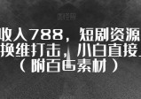 一天收入788，短剧资源新玩法，换维打击，小白直接上手（附百G素材）