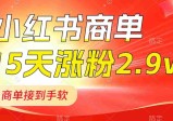 小红书商单最新玩法，新号15天2.9W粉，商单接到手软，1分钟一篇笔记