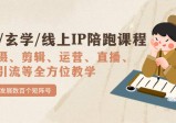 国学/玄学/线上IP陪跑课程，从0-1全方位教学，快速发展数百个矩阵号