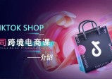 卡司TikTok电商课程，系统学习TK电商起号到变现
