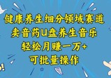 五行音乐养生：细分领域赛道卖音药U盘，打造轻松月赚一万+的健康养生项目