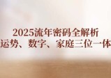 2025流年密码全解析，运势、数字、家庭三位一体
