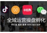 全域运营操盘(抖音+私域+小红书)，IP打造高效简单