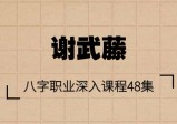 谢武藤：八字职业深入课程48集+讲义