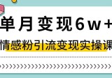 抖音情感粉引流变现实操课，快速上手，小白也能轻松月入6W！