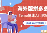 海外版拼多多TEMU从零到一实践课，从入驻到运营的最全教程
