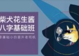 柴犬花生酱八字基础班课程，送八字速成PDF资料