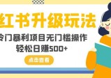 小红书升级新玩法，冷门暴利项目无门槛操作，轻松日赚500+