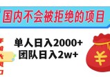在国内不怕被拒绝的项目，单人日入2000，团队日入20000，不容错过！