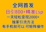 全网首发！日引800+精准LSP，一天变现2000+，独家引流方法，可矩阵操作