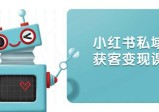 小红书私域获客变现：账号设置/内容创作/规则解读/投放策略/获客技巧等