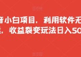 抖音小白项目，利用软件无脑搬运，收益裂变玩法日入500+