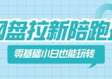 网盘拉新陪跑班，0基本新手也能玩转网盘拉新变现