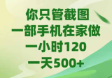 你只管截图，一部手机在家做，一小时120，-天500+