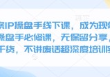 全案IP操盘手线下课，成为现象级ip操盘手必修课，无保留分享，全是干货，不讲废话超深度培训实操
