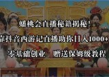 蟠桃会直播秘籍揭秘！靠抖音西游记直播日入1000+，赠保姆级教程