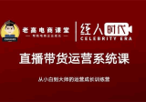 老高电商课堂-飞樊・抖音直播带货运营系统课