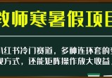 小红书冷门赛道，教师寒暑假项目，多种连环套的变现方式，还能矩阵操作放大收益