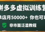 拼多多虚拟产品电商训练营：月入30000+你也行，暴利稳定长久，副业首选