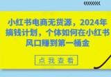 小红书电商无货源，2024年搞钱计划，个体如何在小红书风口赚到第一桶金