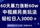 60天暴力涨粉60W，中视频另类玩法，日入3000＋，几分钟一条原创作品多种变现方式