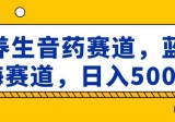 养生音药赛道，蓝海赛道，日入500+