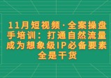 11月短视频·全案操盘手培训：打通自然流量，成为想象级IP必备要素，全是干货