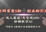 暴力引流玩法揭秘！7天成人赛道10W+变现，轻松上手！保姆3.0
