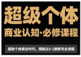 级个体商业认知觉醒视频课，商业认知·必修课程揭秘从0-1账号全流程