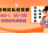 宝妈粉私域变现从0-1，从1-100，保姆级实操教程，长久稳定的变现之法