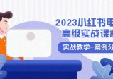 2023小红书电商高级教程，全程实战教学+案例分析（38节课）