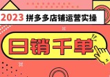 2023拼多多运营实操，每天30分钟日销1000＋，爆款选品技巧大全（10节课）  第1张