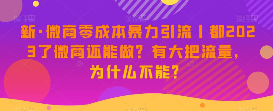 新·微商零成本暴力引流丨都2023了微商还能做？有大把流量，为什么不能？  第1张