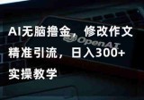 AI无脑撸金，修改作文精准引流，日入300+，实操教学  第1张