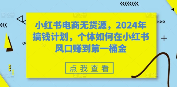 小红书电商无货源，2024年搞钱计划，个体如何在小红书风口赚到第一桶金  第1张
