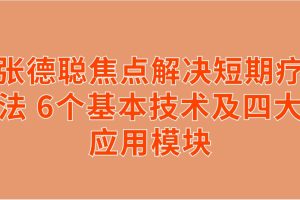 张德聪焦点解决短期疗法 6个基本技术及四大应用模块  第1张