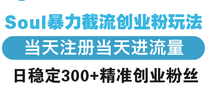 Soul暴力截流创业粉玩法，当天注册当天进流量，日稳定300+精准创业粉丝  第1张