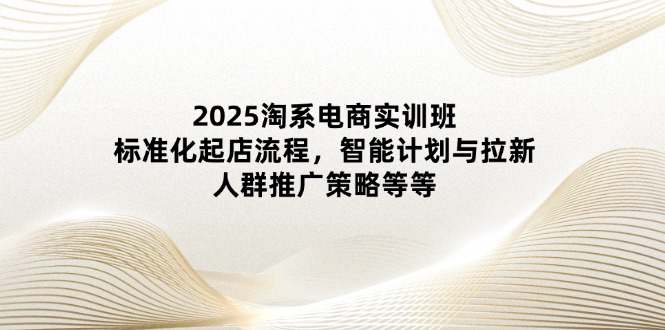 2025淘系电商实训班：标准化起店流程，智能计划与拉新，人群推广策略等等  第1张