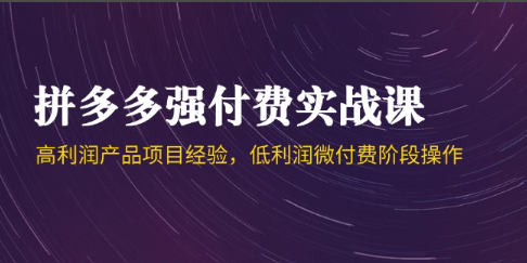 拼多多强付费实战课-44期，高利润产品项目经验，低利润微付费阶段操作  第1张