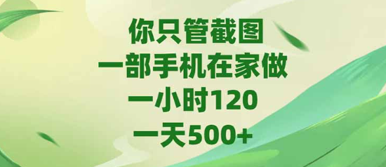 你只管截图，一部手机在家做，一小时120，-天500+  第1张