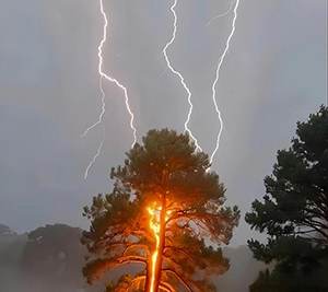 现代人已失去“先祖庇护”:共业棱镜,照见70亿人的思维回响 第17张 现代人已失去“先祖庇护”:共业棱镜,照见70亿人的思维回响 第17张