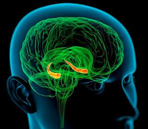 现代人已失去“先祖庇护”:共业棱镜,照见70亿人的思维回响 第10张 现代人已失去“先祖庇护”:共业棱镜,照见70亿人的思维回响 第10张