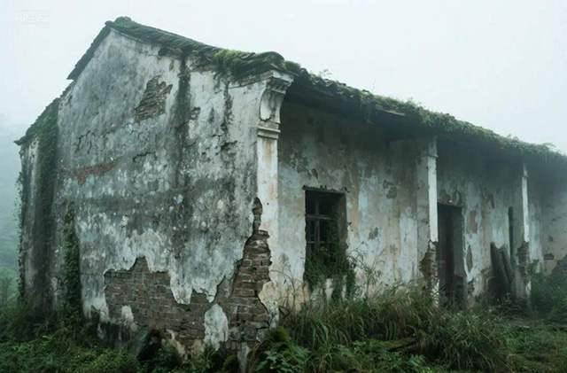 现代人已失去“先祖庇护”:共业棱镜,照见70亿人的思维回响 第18张 现代人已失去“先祖庇护”:共业棱镜,照见70亿人的思维回响 第18张