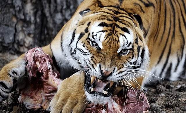 集体“面黄秃发、记性智力倒退”,甘愿沦为萎靡一代? 第8张 集体“面黄秃发、记性智力倒退”,甘愿沦为萎靡一代? 第8张